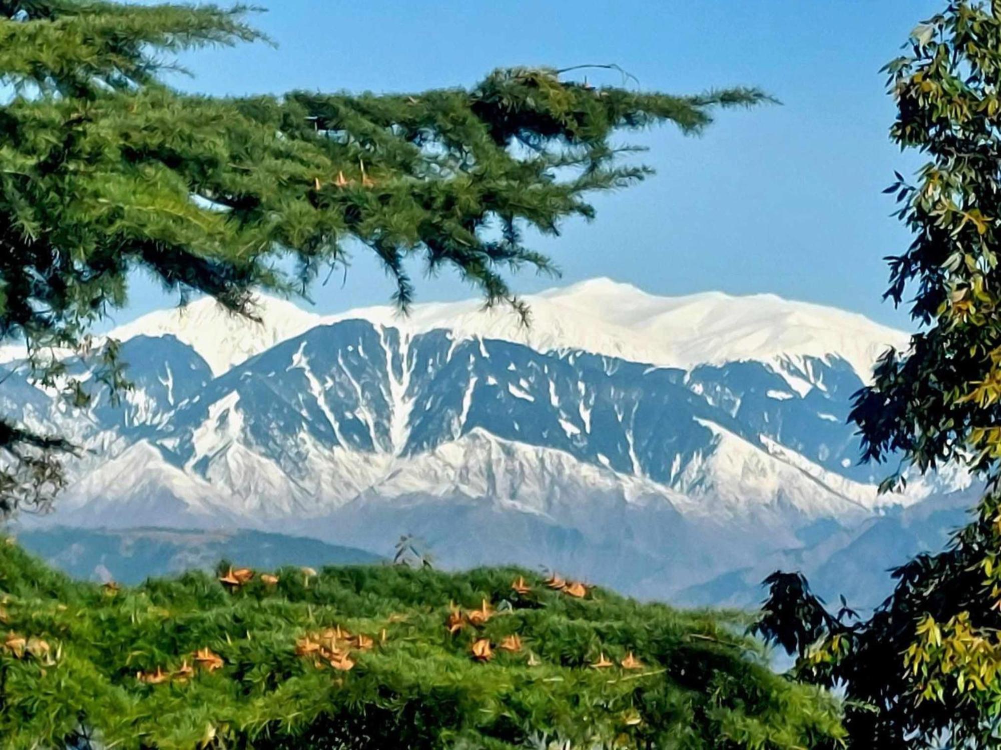 Aditya Homestay Dalhousie Exterior photo